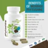 Moringo Phytoshine