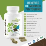 Moringo Phytoshine